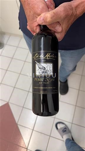 Valais Not Specified D. Saviôz Vigneron-Encaveur Cri du Merle 2022