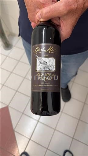 Valais Not Specified D. Savioz Vigneron Cri du Merle 2023