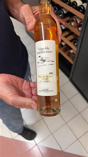 Québec Không được chỉ định Vignoble du marathonien Vendange Tardive Sélective 2020