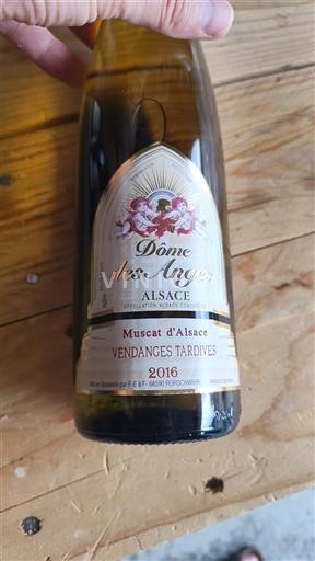 Alsace Ikke specificeret Vendanges Tardives Dôme des Anges 2016