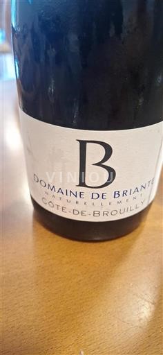 Beaujolais Côte de Brouilly Domaine Briante Non-Vintage