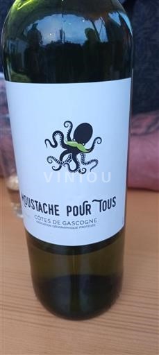 Sud-Ovest Côtes de Gascogne Moustache Pour Tous 2024
