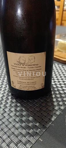 Vin Blanc liquoreux Victor & Valentine Domaine Moulin - Famille Chevrier 2020 France Vallée de la Loire Coteaux-du-layon AOC