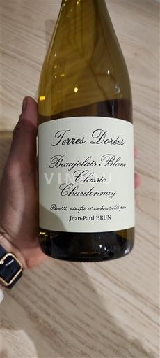 Beaujolais Không được chỉ định Terres Dorées Classic Chardonnay Không niên vụ