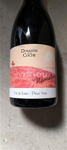 Vin Rouge sec Hamelia Domaine La Coche Non millésimé France Vallée de la Loire AOC