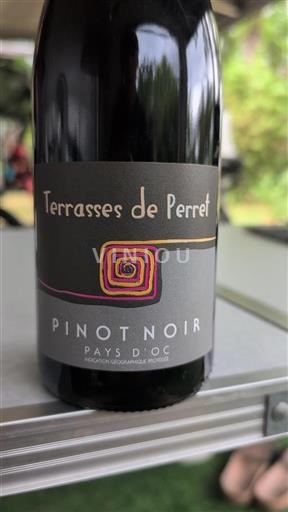 Languedoc og Roussillon Pays d'Oc Terrasses de Perret Pinot Noir 2023
