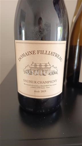 Valle del Loira Saumur-Champigny Domaine Filliatreau 2019