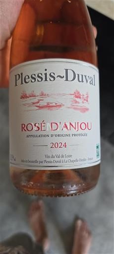 Loiredalen Rosé d'Anjou Plessis-Duval 2024