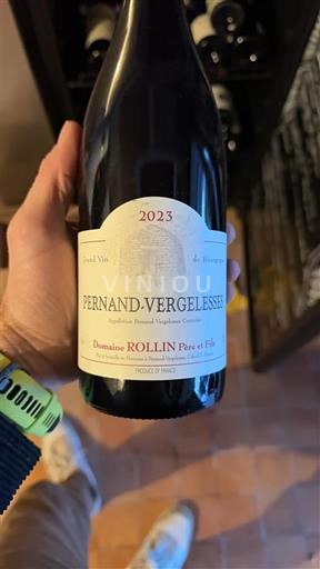 Bourgogne Pernand-Vergelesses Domaine Rollin Père et Fils 2023