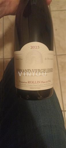 Bourgogne Pernand-vergelesses Domaine Rollin Père et Fils 2023