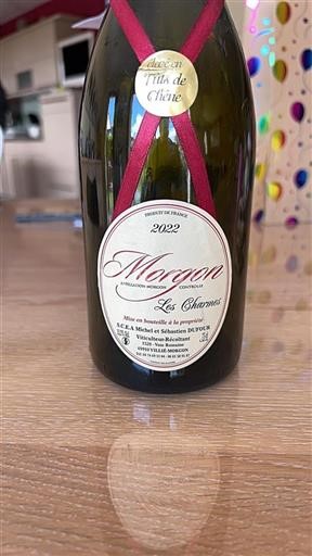 Beaujolais Morgon S.C.E.A Michel et Sébastien Dufour Les Charmes 2022