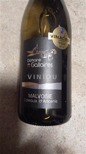 Údolí Loiry Coteaux-d'ancenis Domaine Des Galloires Malvoisie Neročník