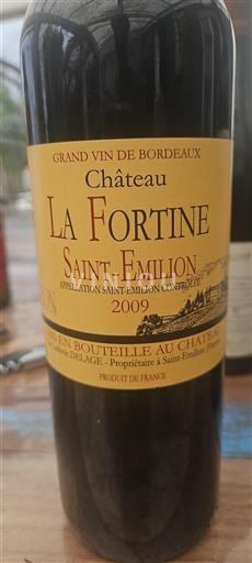 Bordeaux Saint-Émilion Château La Fortine 2009