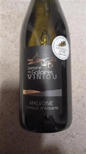 Vallée de la Loire Coteaux-d'ancenis Domaine Des Galloires 2025