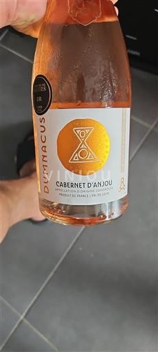 Thung lũng sông Loire Cabernet-d'Anjou Dumnacus 2024