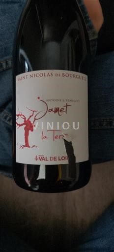 Loire Valley Saint-Nicolas-de-Bourgueil Jamet La Terre 2017