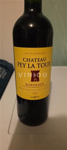 Bordo Chateau Pey La Tour 2021