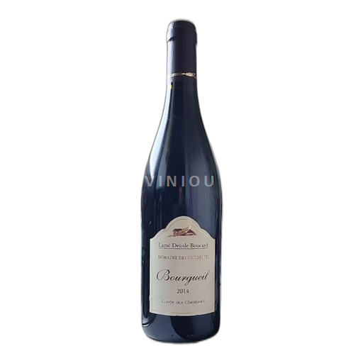 Valle del Loira Bourgueil Domaine Des Chesnaies des Chesnaies 2014