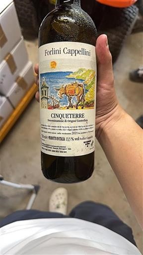 Wines of Liguria Cinque Terre Forlini Cappellini 2021