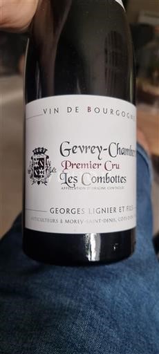 Borgogna Gevrey-Chambertin Premier Cru Georges Lignier et Fils Les Combottes 2013