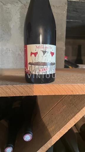Beaujolais Mille-pattes Sin añada