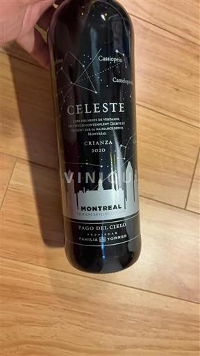 Castilien og León Ribera del Duero Familia Torres Celeste 2020