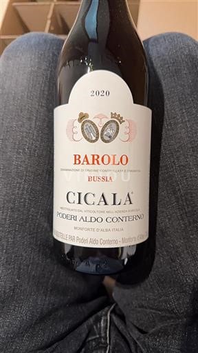 Piedmont Barolo Poderi Aldo Conterno Cicala 2020