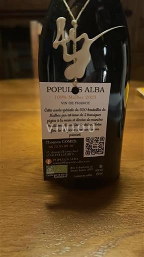 Bordeaux Ikke specificeret Thomas Gomes Populus Alba 2023