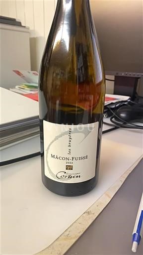 Borgonha Mâcon e mâcon-villages Domaine Dominique Cornin Les Bruyères 2022