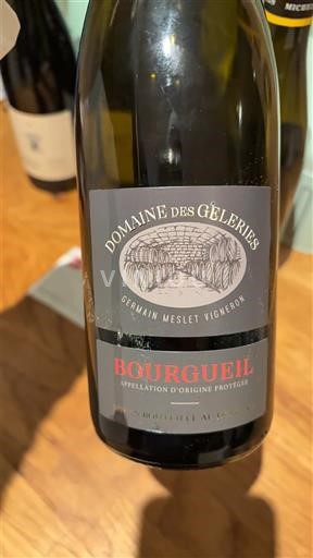 Valle del Loira Bourgueil Domaine Des Geleries 2021