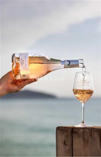 Provansa Côtes-de-Provence Château Saint-Maur Excellence 2023