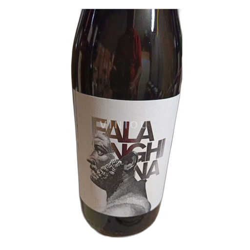 Kampanien Falanghina del Sannio Favugnë Falanghina Bianco 2023 - 2023