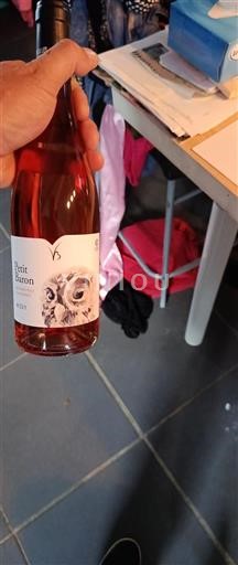 Lounais-Ranska Buzet Petit Baron 2023