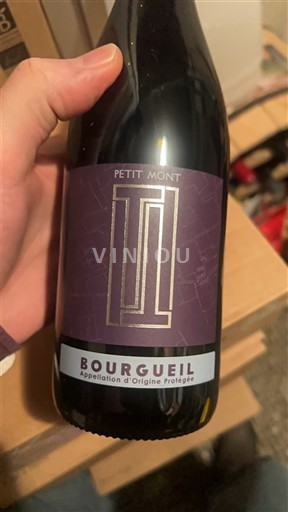 Dolina Loare Bourgueil Petit Mont 2020