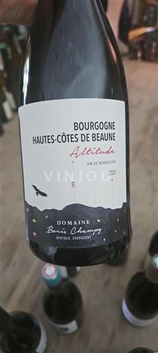 Burgund Hautes Côtes de Beaune Domaine Boris Champy Altitude 2020