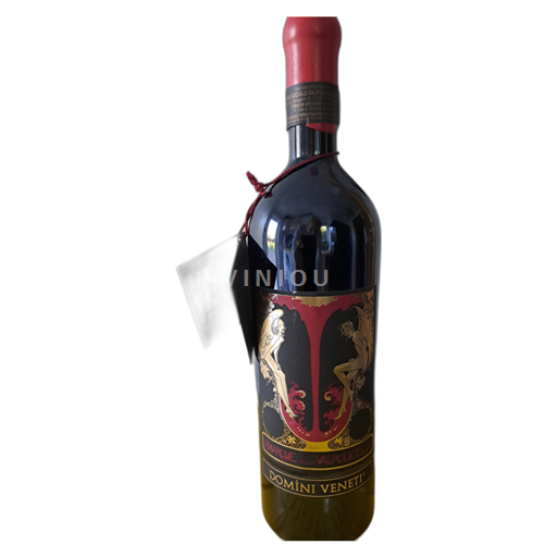Veneto Amarone della Valpolicella Domìni Veneti 1997