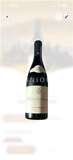 Burgundija Chorey-lès-Beaune Jean Bouchard 2021