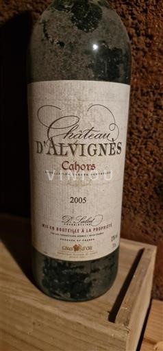 Jihozápad Cahors Château Alvignès 2005