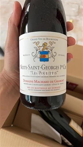 Bourgogne Nuits-Saint-Georges Premier Cru Domaine Machard de Gramont Les Poulettes 2023