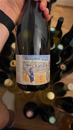 Burgundija Bourgogne Aligoté Henri Naudin-Ferrand 2023