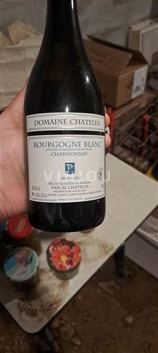 Bourgondië Niet gespecificeerd Domaine Chatelus 2019