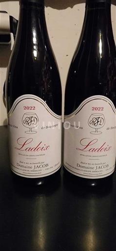 Bourgogne Ladoix Domaine Jacob 2022