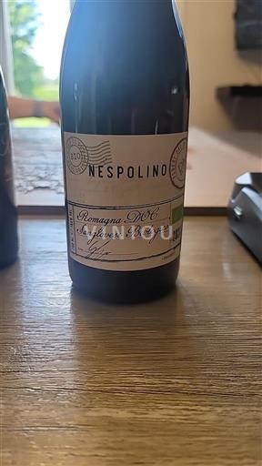 Emilia-Romagna Nespecifikováno Poderi dal Nespoli Nespolino 2021