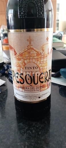 Kastilien och León Ribera del Duero Pesquera 1995