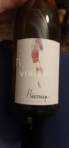 Sydväst Sudvästra Frankrike Etxondoa Hürrüp 2023