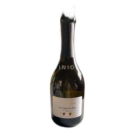 Vin Effervescent Blanc brut Cinque Note Azienda Agricola Oliviera di Bandini Sandro Non millésimé Italie Toscane DOC