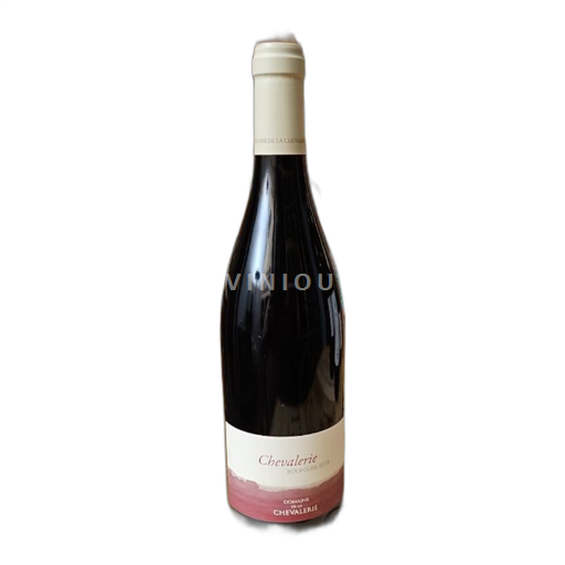 Valle del Loira Bourgueil Domaine La Chevalerie Chevalerie 2019