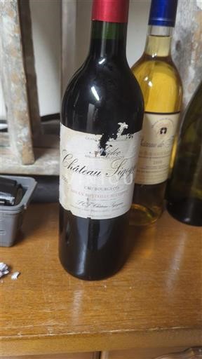 Vin Rouge sec Château Sigognac 2005 France Bordeaux Médoc AOC Cru Bourgeois