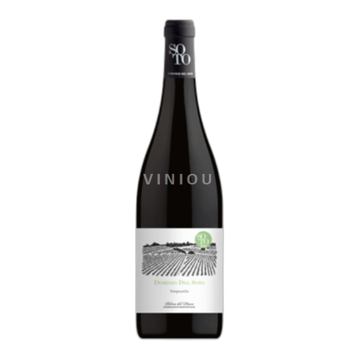 Castilien og León Ribera del Duero Dominio Del Soto 2020