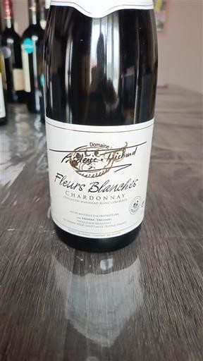 Beaujolais No especificado Domaine Frédéric Trichard Fleurs Blanches 2023